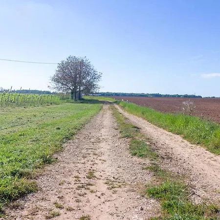 La Belle Des Champs Saint-Simon-de-Pellouaille